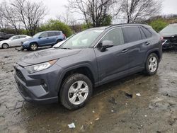 Salvage cars for sale from Copart Baltimore, MD: 2019 Toyota Rav4 XLE