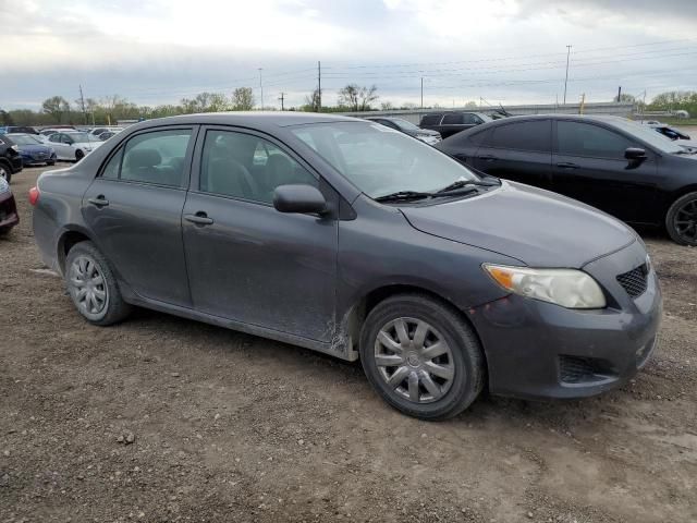 2010 Toyota Corolla Base