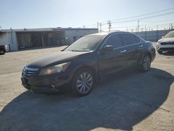 Salvage cars for sale at Sun Valley, CA auction: 2012 Honda Accord EXL