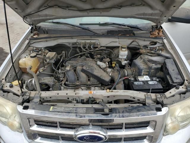 2008 Ford Escape XLT