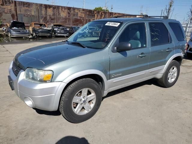 2005 Ford Escape HEV