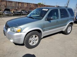 Salvage cars for sale at Wilmington, CA auction: 2005 Ford Escape HEV