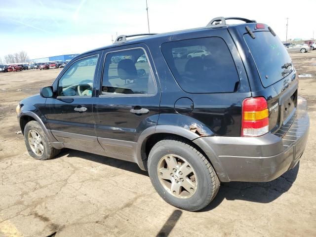 2005 Ford Escape XLT