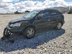 Salvage cars for sale at Wayland, MI auction: 2010 Honda CR-V EX