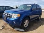 2008 Ford Escape XLT