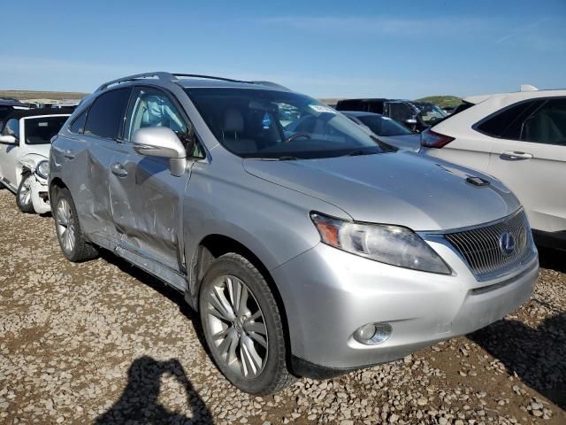 2010 Lexus RX 450