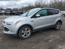 Salvage cars for sale at Ellwood City, PA auction: 2015 Ford Escape SE
