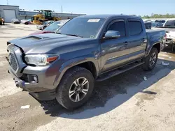 Salvage cars for sale at Harleyville, SC auction: 2019 Toyota Tacoma Double Cab