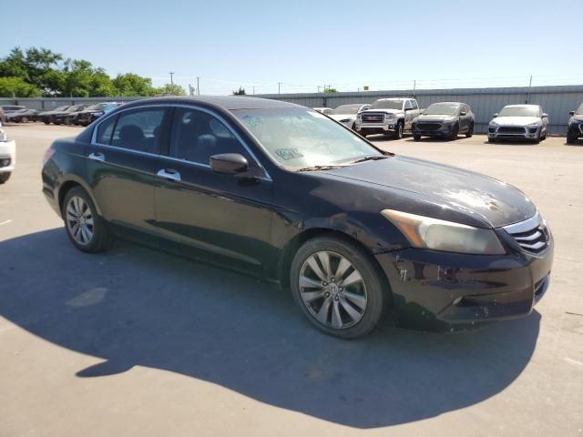 2011 Honda Accord EXL