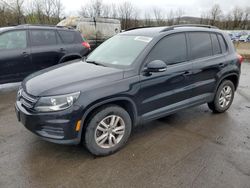 Volkswagen Tiguan s salvage cars for sale: 2016 Volkswagen Tiguan S