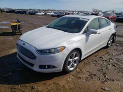 Salvage cars for sale at Elgin, IL auction: 2013 Ford Fusion SE