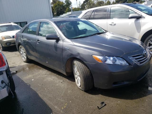 2009 Toyota Camry Hybrid