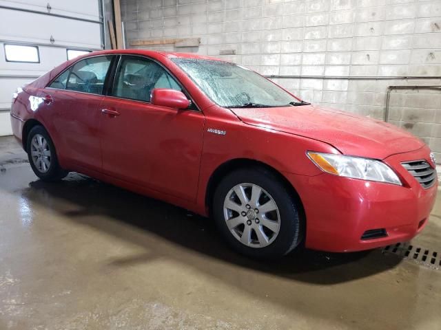 2009 Toyota Camry Hybrid