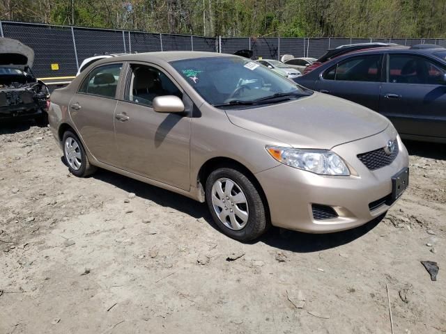 2009 Toyota Corolla Base