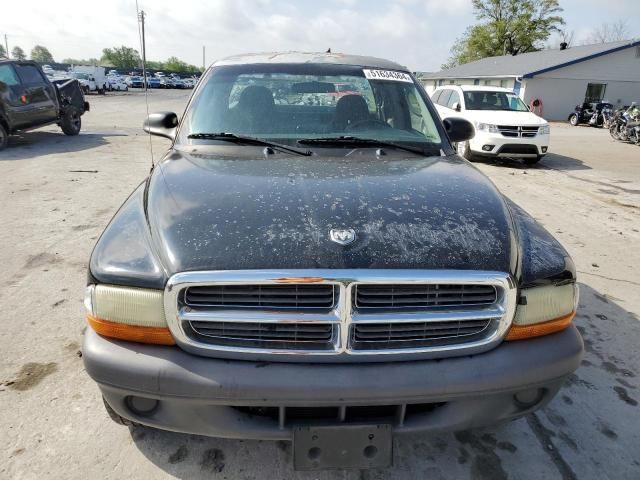 2004 Dodge Dakota SXT