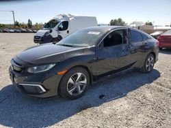 Honda salvage cars for sale: 2019 Honda Civic LX