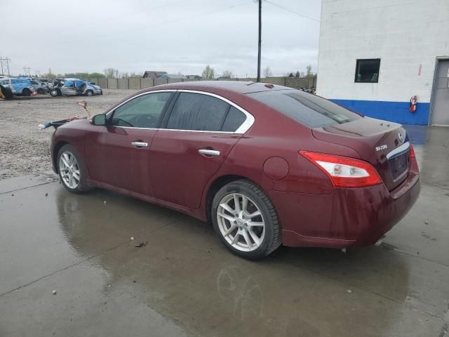 2009 Nissan Maxima S