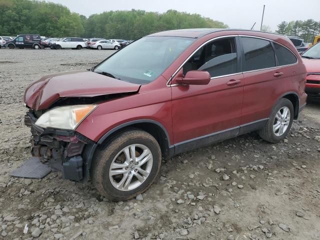 2010 Honda CR-V EXL