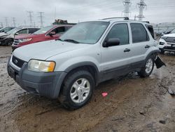 Salvage cars for sale at Elgin, IL auction: 2002 Ford Escape XLT