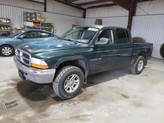 2001 Dodge Dakota Quattro