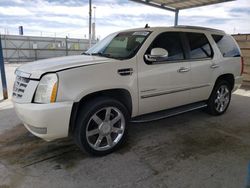 Salvage cars for sale at Anthony, TX auction: 2010 Cadillac Escalade Luxury