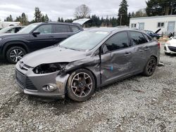 Salvage cars for sale at Graham, WA auction: 2013 Ford Focus SE