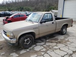 Dodge Dakota salvage cars for sale: 1993 Dodge Dakota