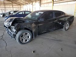 Salvage cars for sale from Copart Phoenix, AZ: 2013 Dodge Charger SE
