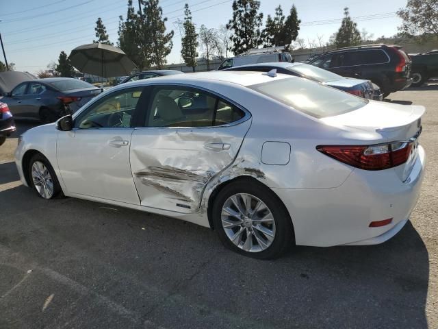 2013 Lexus ES 300H