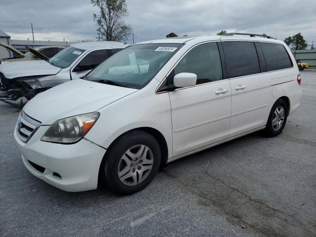 2005 Honda Odyssey EXL