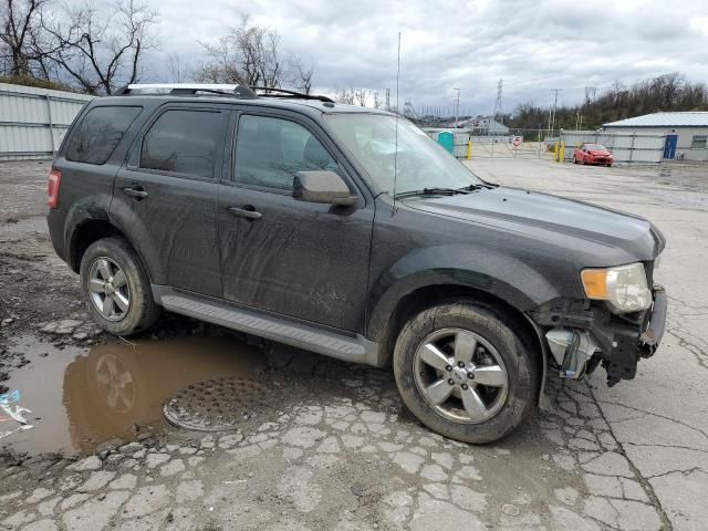 2009 Ford Escape Limited