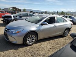 Toyota Camry Hybrid salvage cars for sale: 2015 Toyota Camry Hybrid