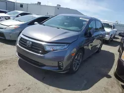 Salvage cars for sale at Vallejo, CA auction: 2022 Honda Odyssey Elite