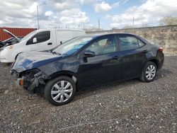Salvage cars for sale from Copart Homestead, FL: 2014 Toyota Corolla L