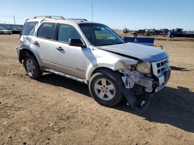 2012 Ford Escape Hybrid