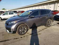 Salvage cars for sale at Louisville, KY auction: 2021 Honda CR-V EX
