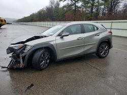 Lexus salvage cars for sale: 2021 Lexus UX 250H