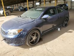 Salvage cars for sale at Phoenix, AZ auction: 2007 Scion TC