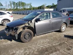 Salvage cars for sale from Copart Spartanburg, SC: 2010 Toyota Corolla Base