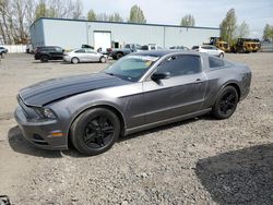 Salvage cars for sale at Portland, OR auction: 2014 Ford Mustang
