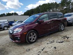 Salvage cars for sale at Seaford, DE auction: 2019 Honda Odyssey EXL