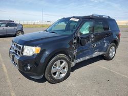 Ford salvage cars for sale: 2012 Ford Escape Limited