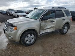Vehiculos salvage en venta de Copart Temple, TX: 2012 Ford Escape XLT