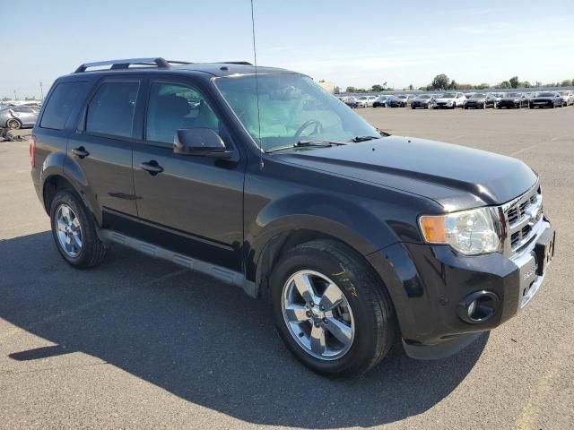 2012 Ford Escape Limited