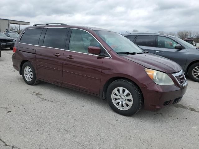 2008 Honda Odyssey EXL