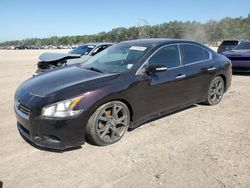 Salvage cars for sale at Greenwell Springs, LA auction: 2014 Nissan Maxima S