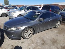 Honda Accord EXL salvage cars for sale: 2008 Honda Accord EXL