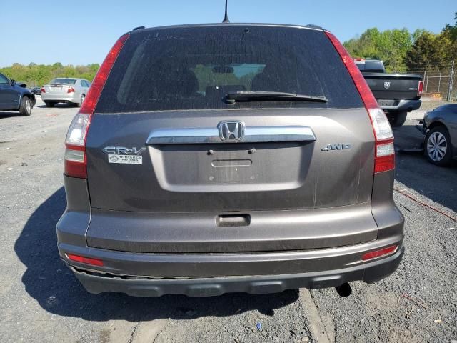 2010 Honda CR-V EX