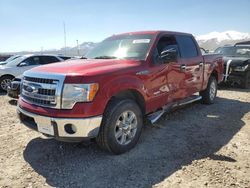 Salvage Cars with No Bids Yet For Sale at auction: 2014 Ford F150 Supercrew