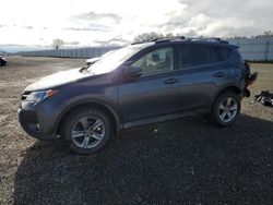Salvage cars for sale at Anderson, CA auction: 2015 Toyota Rav4 XLE